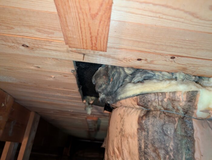 Takpanel på en vind med synlig isolering och svart missfärgning nära takbjälkarna, eventuellt kring en skorsten.