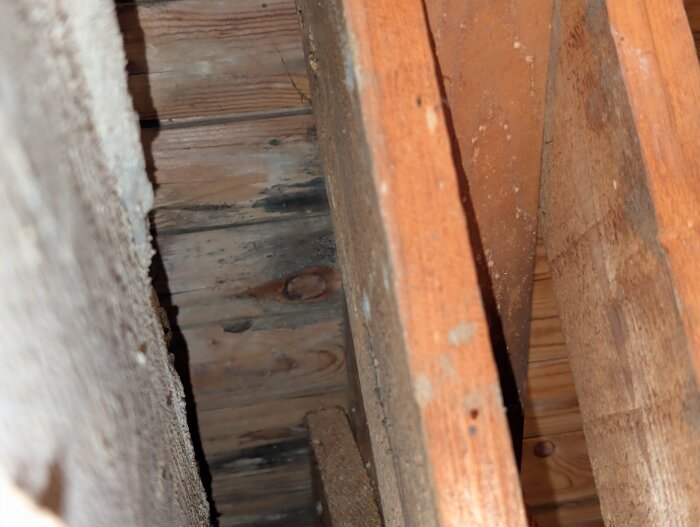Svart missfärgning på takbjälkar nära skorsten, trä ser torrt ut.