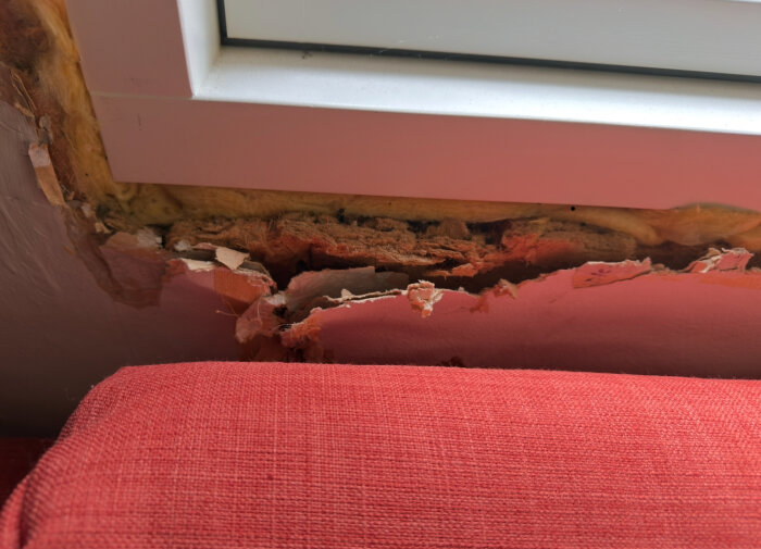 Hål i väggen runt nytt fönster med gammalt isoleringsmaterial synligt, omgiven av trasig papp och färgflagor.