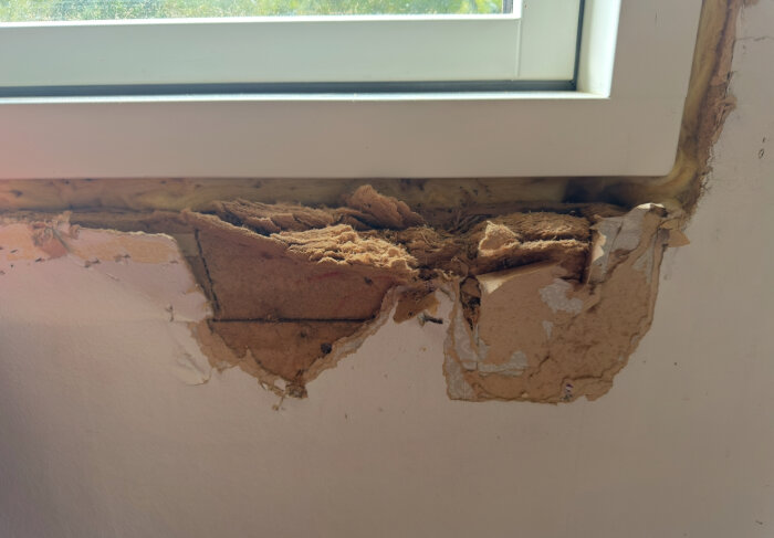Hål i väggen runt ett nytt fönster i en stuga från 1934, med gammalt isoleringsmaterial och papp som behöver repareras.