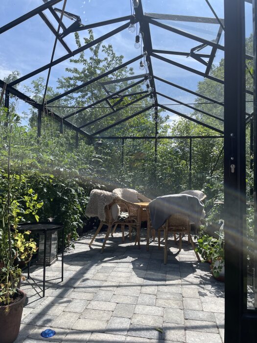 Växthus med glasväggar och tak, fyllt med grönska samt ett bord och stolar, belyst av solljus med utsikt över träd och himmel.