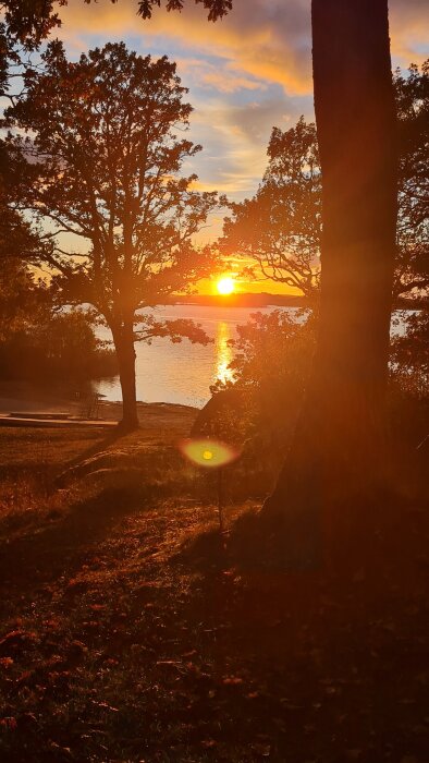 Solnedgång över en sjö, omgiven av träd och reflektion i vattnet, med himlen i varma färger.