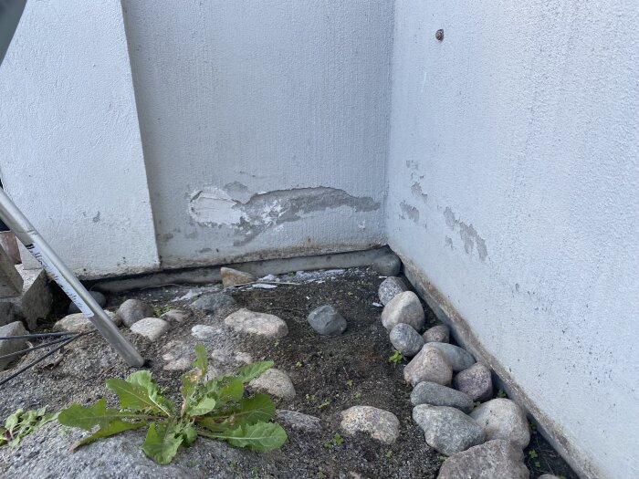 Skadad husfasad med synliga märken och stenar intill grunden, tydliga tecken på tidigare vatten- och snöpåverkan, liten växt vid marken.