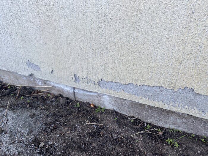 Fasad med skadad puts ovan mark, troligen orsakad av stående vatten.