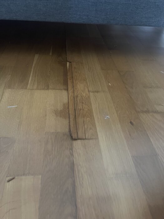 Skadat trägolv med sprickor och lossnad faner på grund av vattenläcka från portabel AC.