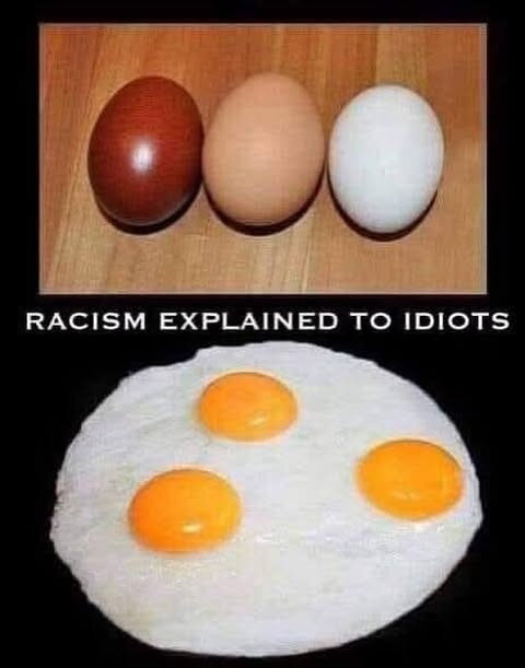 Tre oskalade ägg i olika färger överst och tre knäckta ägg med gula på en stekpanna nederst. Text: "RACISM EXPLAINED TO IDIOTS".