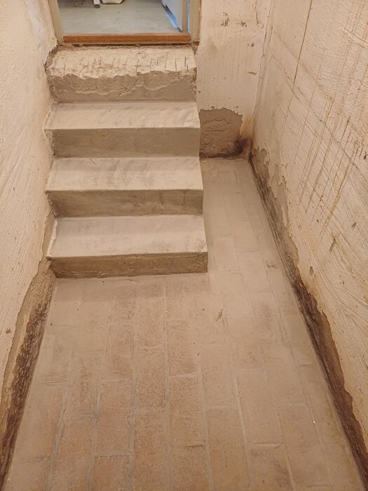 Bild av en oisolerad matkällare med en trappa, slitna väggar och golv i behov av renovering.