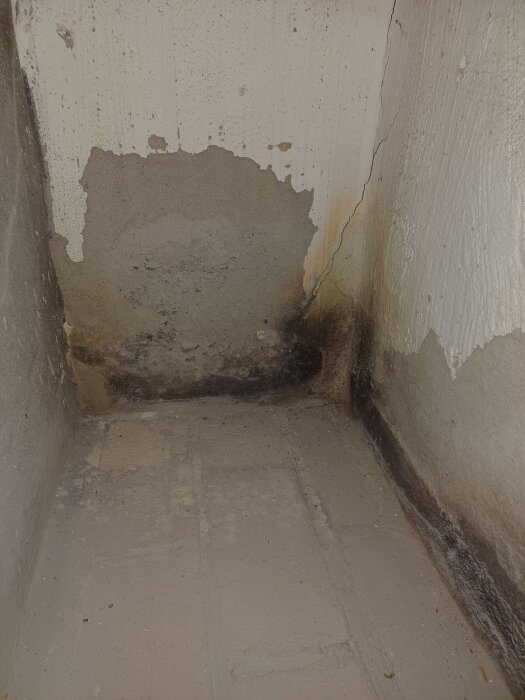 Skadad matkällarvägg med sprickor, fuktfläckar och avskalad färg i hörnet av ett äldre hus källare byggt på 50-talet.