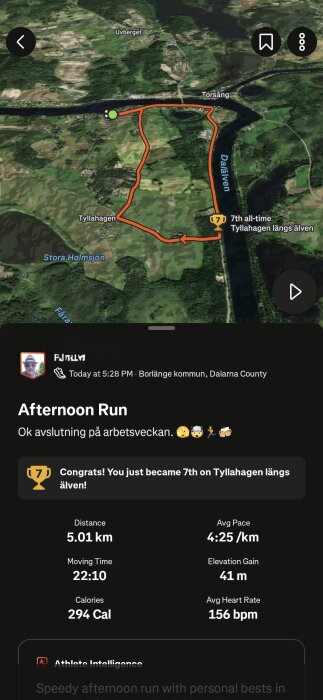 Karta över löprunda runt Tyllahagen och Dalälven i Borlänge, 5,01 km på 22 min och 10 sek, med en snitthastighet av 4:25 min/km.