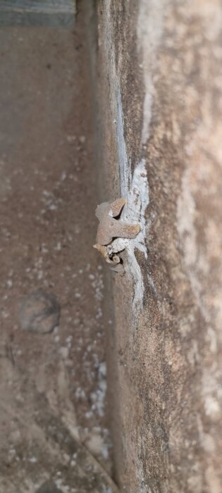 Närbild av en skadad vägg, visar ett utskjutande sprucket material med rester av murbruk och färg i ett hörn av en byggnad eller struktur.