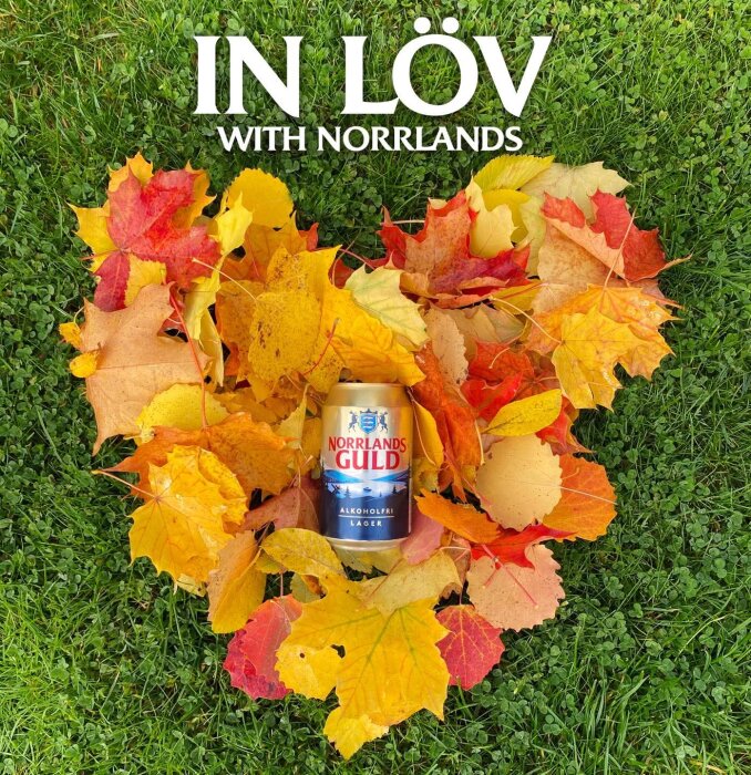Höstsamlade löv formar ett hjärta på grönt gräs med en burk Norrlands Guld alkoholfri lager i mitten. Text: "In löv with Norrlands.