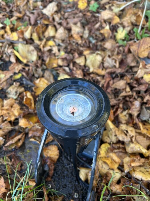 En svart utomhusspotlight med räfflad ring monterad i marken omgiven av höstlöv.