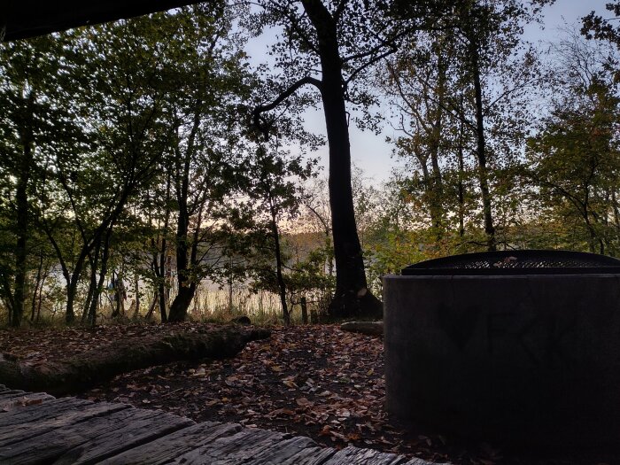Utsikt mot en sjö genom träd i gryningen, med ett tegelrör i förgrunden, omgivna av höstlöv på marken.