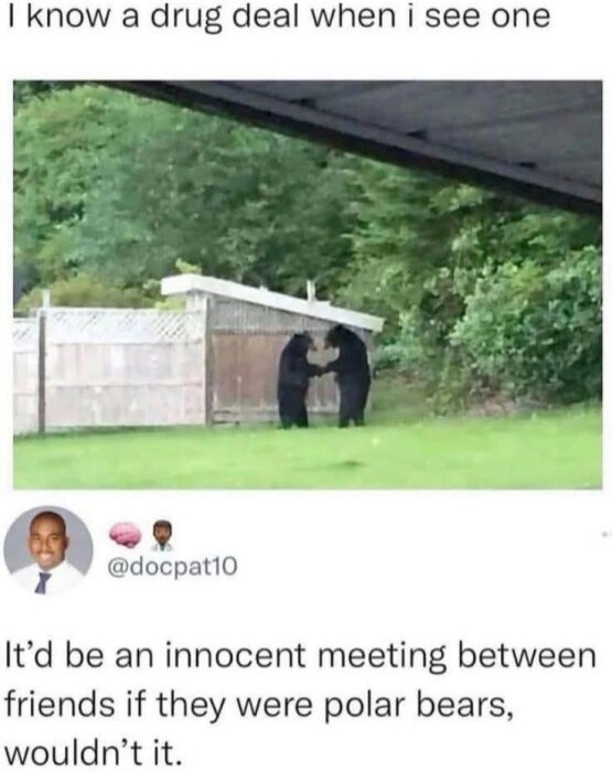 Två björnar står på bakbenen och verkar interagera med varandra i en trädgård, omgivna av staket och grönska.