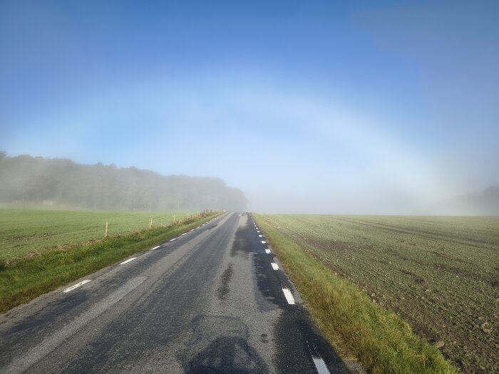 Landsväg i dimmigt landskap med gröna fält på båda sidor och en skogsrand i bakgrunden under en klarblå himmel.