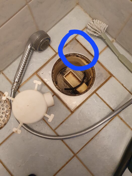 Öppen golvbrunn i äldre badrum med duschhandtag, rensborste och brunnslock på golvet, markerat med en blå cirkel.