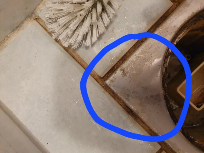 Duschbrunn i äldre badrum med lyft metallock, blå cirkel markerar området. Synlig kaklad yta och skrubbborste ovanpå.