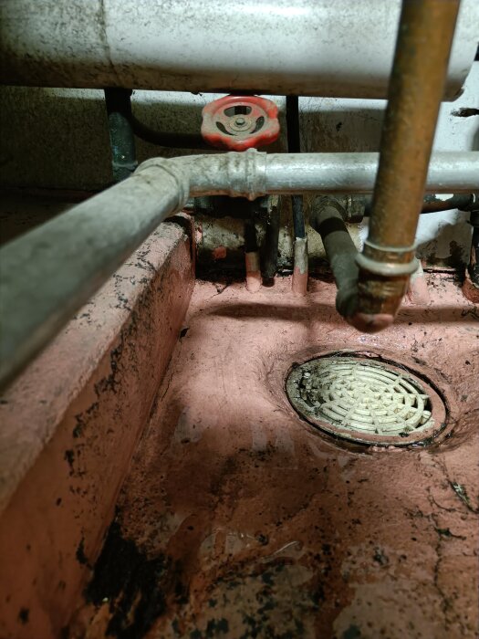 Rör och en röd ventil ovanför en golvbrunn i ett smutsigt utrymme.