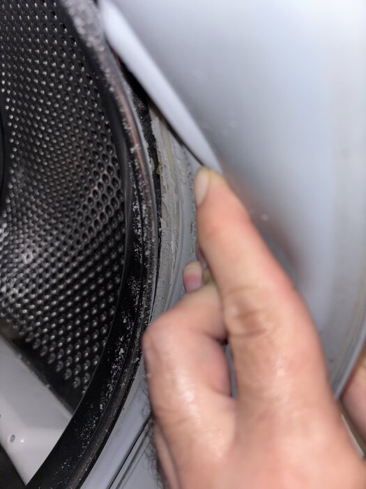En hand drar bort gummitätningen på en tvättmaskin för att visa smuts och skador som har orsakat ljudproblem vid centrifugering.