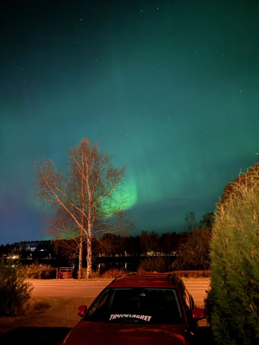 Norrsken över ett öppet landskap med ett ensamt träd och en stillastående röd bil i förgrunden, under en stjärnklar himmel.