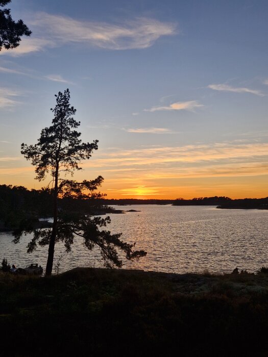 Solnedgång över en sjö med silhuetten av ett träd i förgrunden, himlen är färgad i orange och blått.