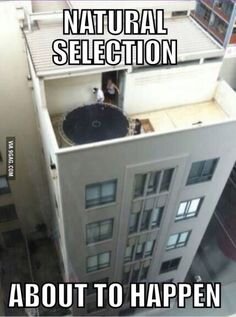 Trampolin på takterrass med personer som står nära kanten av byggnad.