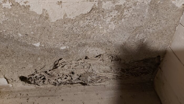 Flagnande källarvägg med synliga sprickor och smulor, nedre delen har förfallna fragment och skador.