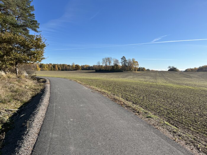 Asfalterad gångväg genom ett öppet fält med omgivande höstfärgad skog och klar blå himmel.
