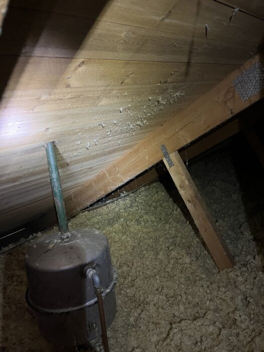 Trätak och tvärreglar med vitt ludet stoff, potentiell mikrobiell påväxt. Svart rör och piptank syns också på vinden.