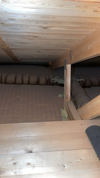 Loft med synlig isolering och träbjälkar i tak.