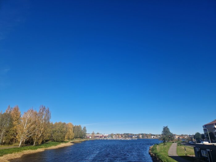 Blå himmel över en flod med träd på ena sidan och en gångväg med hus på andra sidan.