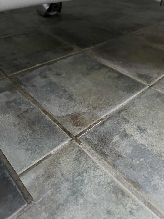 Fuktigt klinkergolv med synlig vattenpöl i fogarna, under badkar med lejontassar.