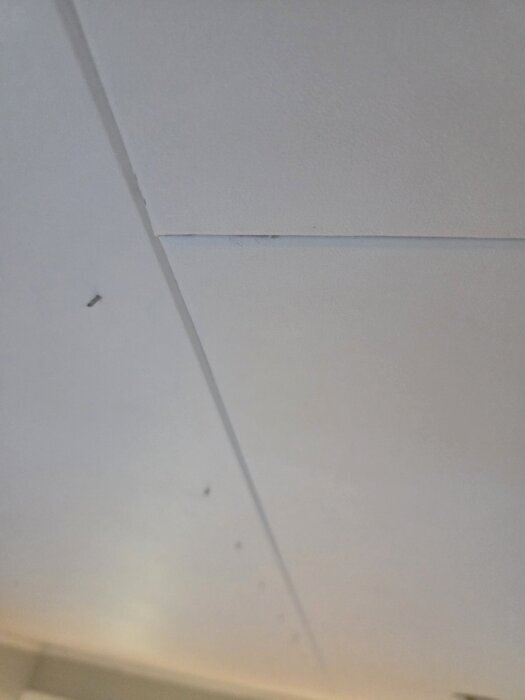 Närbild av ett befintligt innertak med skarvar i vita paneler, några små spikar syns i bild.