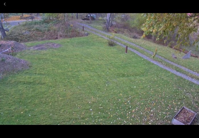 Grön gräsmatta med provgropar till vänster, grusväg i bakgrunden, omgiven av träd och buskar, del av pågående anläggningsarbete.