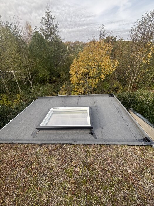 Tak med nyligen monterat takljus och bränd papp, omgivet av träd och höstfärger i bakgrunden.