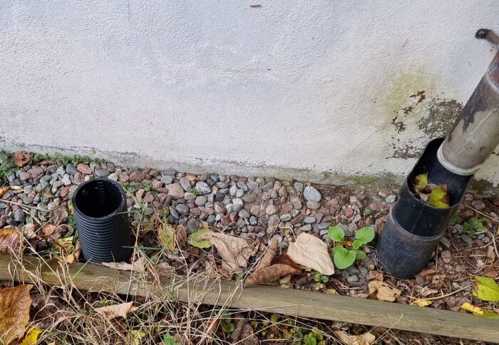 Svart korrugerat rör på marken bredvid en husvägg. Röret är öppet och omgiven av stenar, löv och gräs.