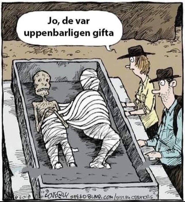 Tecknad serie med två mumier i en sarkofag och två upptäcktsresande. En pratbubbla säger "Jo, de var uppenbarligen gifta".