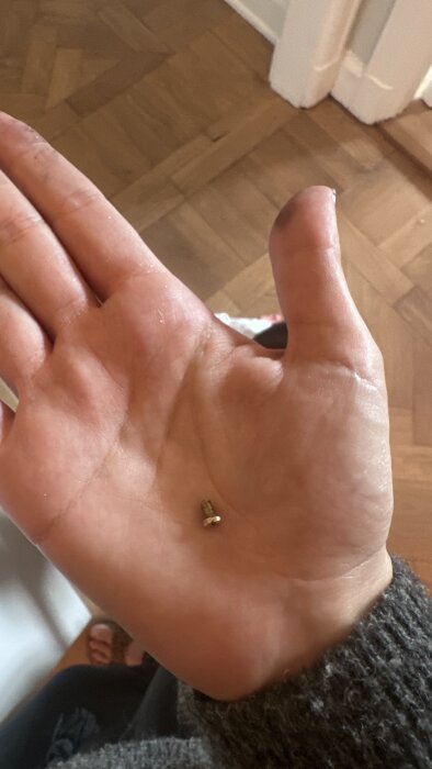 Brutet skruvhuvud hålls i en hand med parkettgolv i bakgrunden.