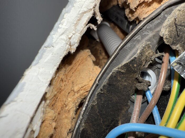 Gammal el-dosa med flera kablar och rör inuti en skadad innervägg, visar exponerat trä och gipsskiva med ojämna kanter.