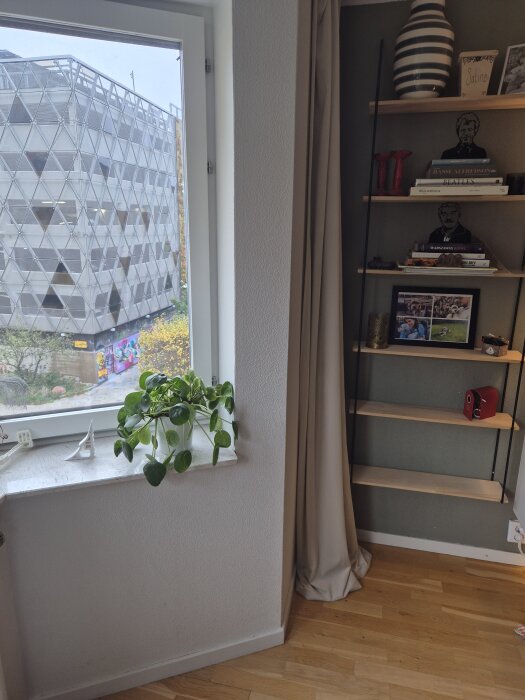 Fönster med växt på fönsterbrädet och stringhylla på vägg, utsikt mot byggnad med triangulärt fasadmönster utomhus.