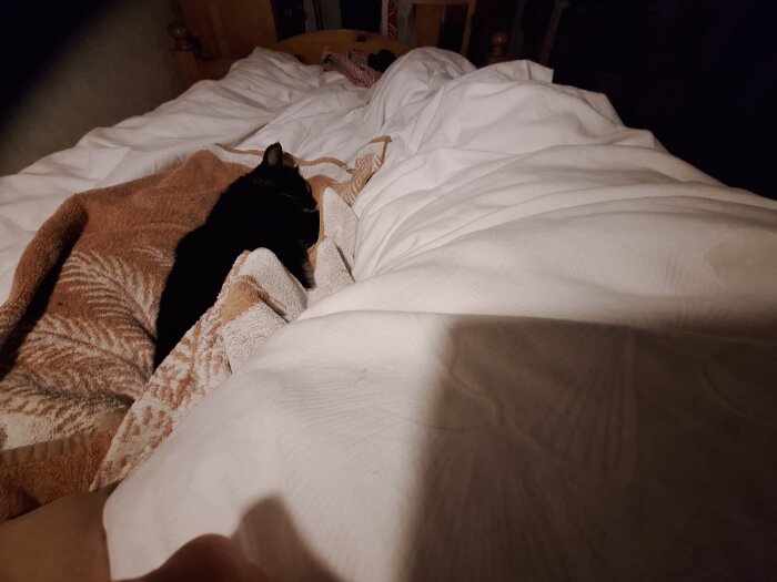 Svart katt sover på en säng, delvis täckt av en brun filt.