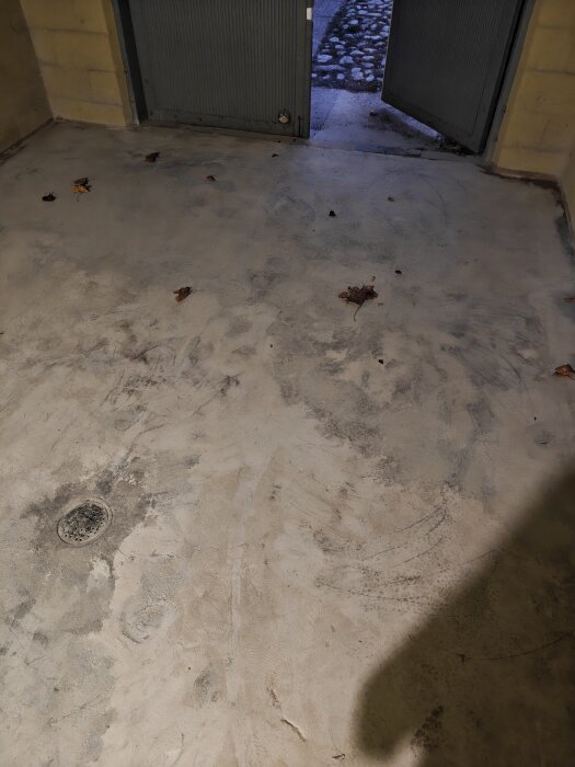 Slipat betonggolv i källare med fläckar och ett golvbrunn. Dörren står öppen mot en stenlagd yta. Några löv ligger på golvet.