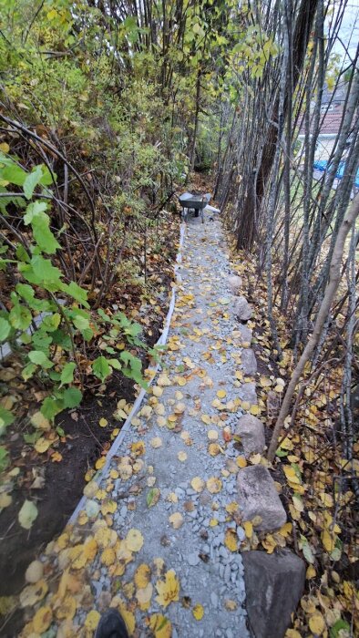 Grusgång täckt med höstlöv i skogsmark, med en skottkärra i slutet, omgiven av buskar och smala trädstammar.