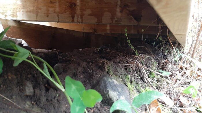 Bilden visar marken under ett trädäck med synliga reglar och växter. Underlaget ser ut att bestå av jord och sten, vilket kan påverka stabiliteten.