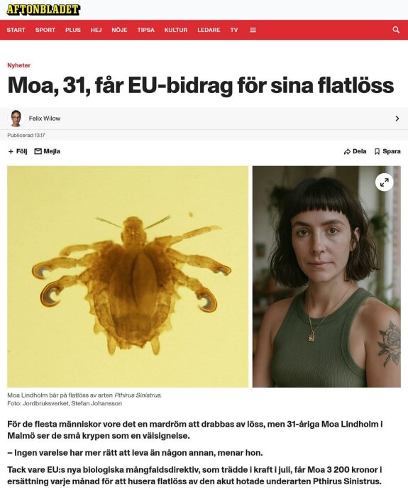 En nyhetsartikel med rubriken "Moa, 31, får EU-bidrag för sina flatlöss" och bilder på flatlus och en kvinna.