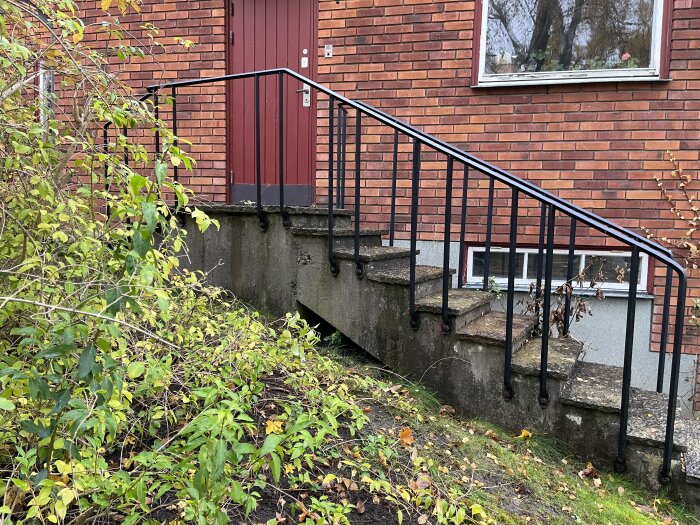 Gjutna betongtrappor med smidesräcke i järn vid röd dörr på tegelhus, omgivna av buskage. Under trappan syns ett öppet utrymme mot trädgården.