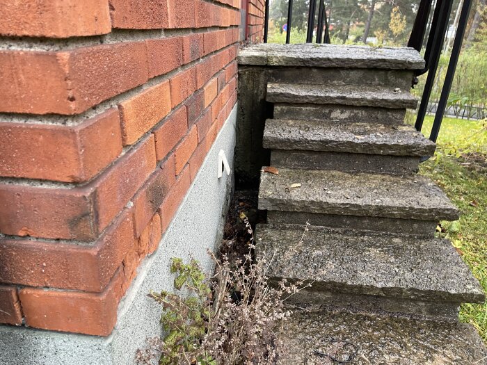 Betongtrappa med järnräcke intill en röd tegelvägg, ovanför en fuktig grundmur och omgiven av vegetation.