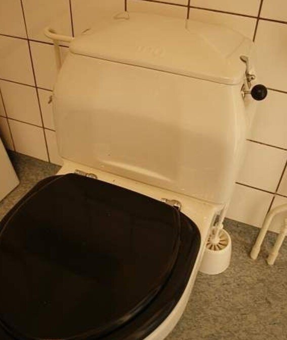 Äldre toalett med svart sits och en spolknopp på sidan, i retroutförande, mot kaklad vägg.