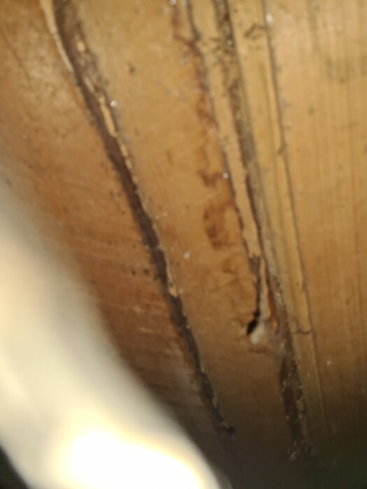 En närbild av en trävägg med tydliga märken och en spricka i övre hörnet, del av ett ventilationsområde enligt kontexten.