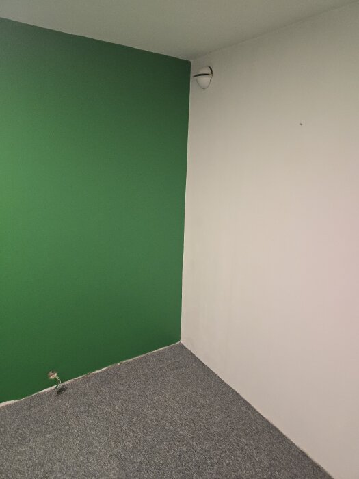 Hörn av rum med en grön och en vit vägg, övergång mellan väggarna syns tydligt. Ett kabeluttag vid golvet och grått heltäckningsmatta.